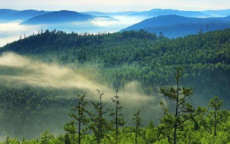 构筑森林防火“墙”  冬春国土播新绿