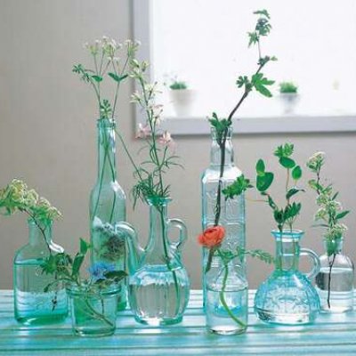 丢丢的健康生活