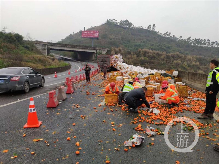 渝蓉高速公路发生事故 20吨砂糖桔大面积散落