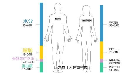 坑过勒布朗，现在又让王哲林背锅！关于体脂率你必须了解的三件事