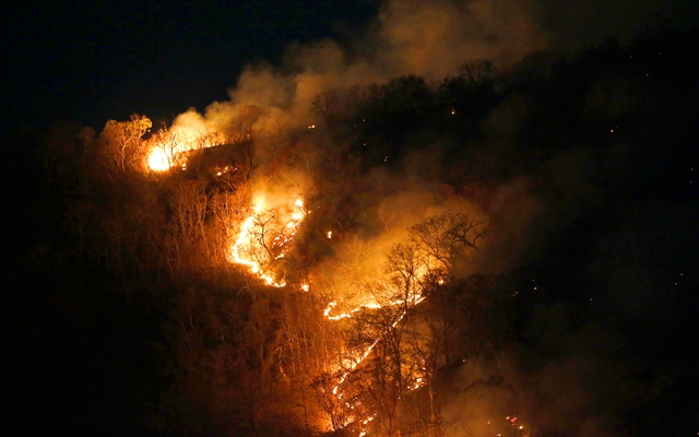 8月17日在巴西托坎廷斯州拍摄的亚马孙雨林中一处燃烧的林区。新华社
