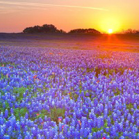 京京陪你聊影视