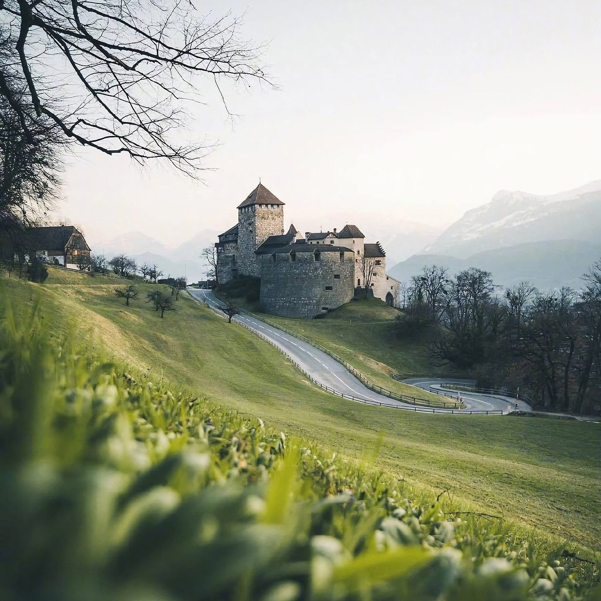 小阿惠的书影小记