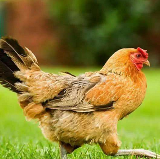 我就问问还有谁