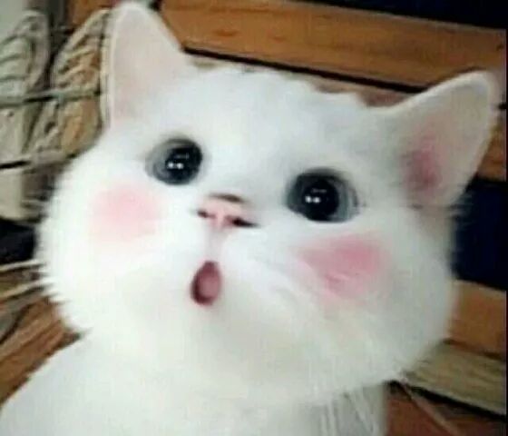 游戏见地