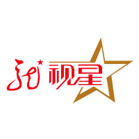 龙视报道