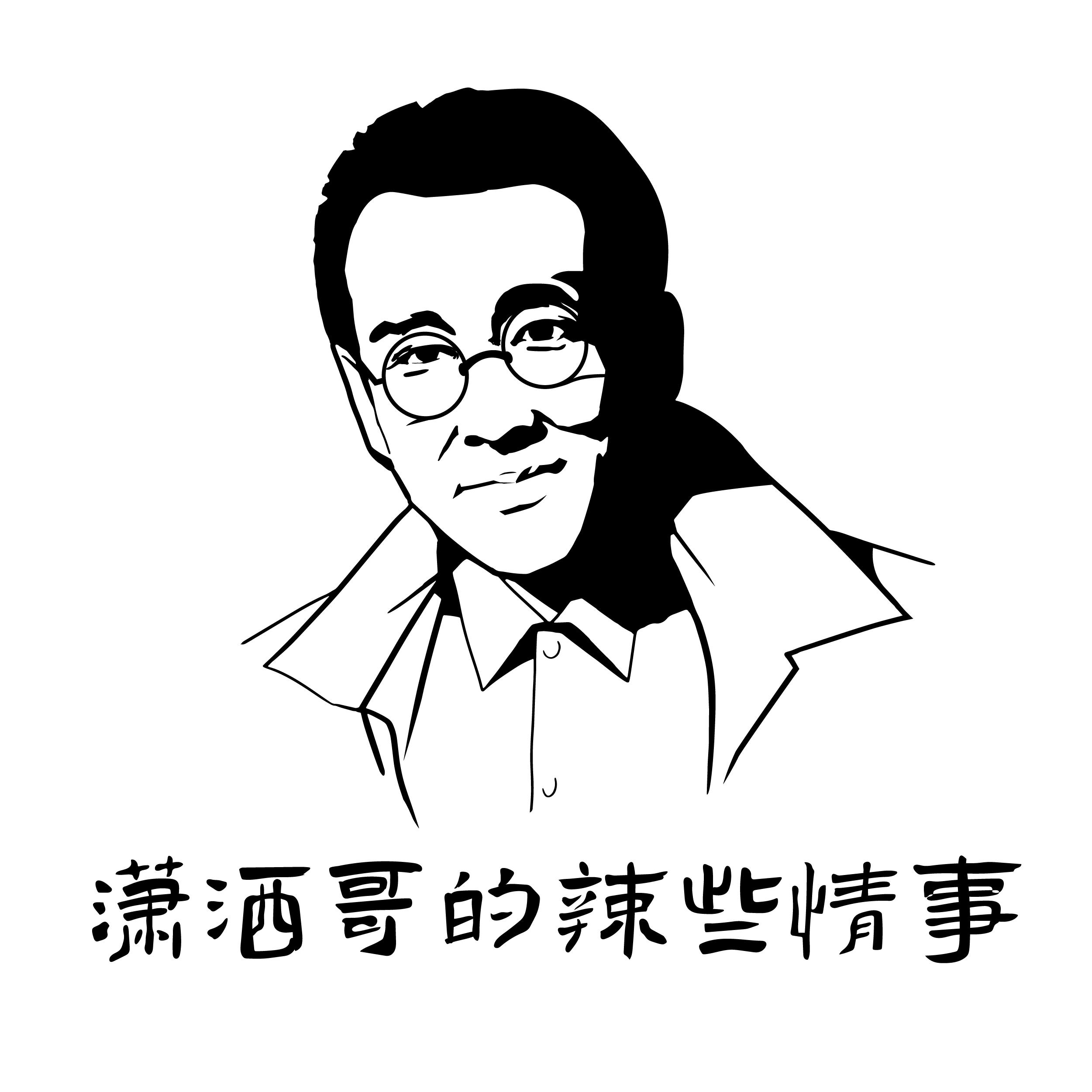 潇洒哥的辣些情事