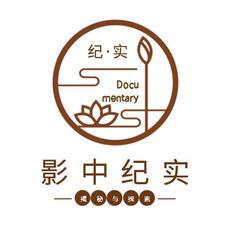老薛的猫