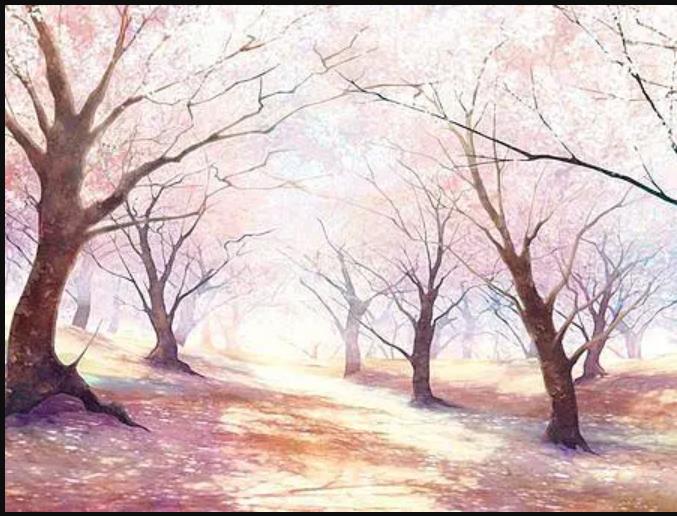 依梦畅谈娱乐圈