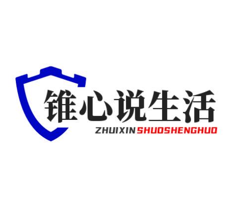 锥心说生活