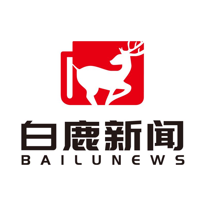 白鹿新闻