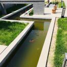 有态度网友19qbWS