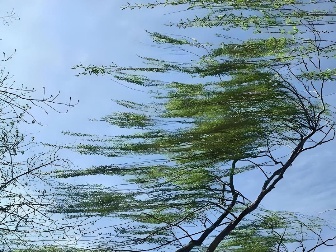 冷空气+阴雨齐上阵！江苏天气突变：最高气温将跌至个位数