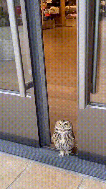 輕松一秒：當(dāng)代商家的離譜操作be like