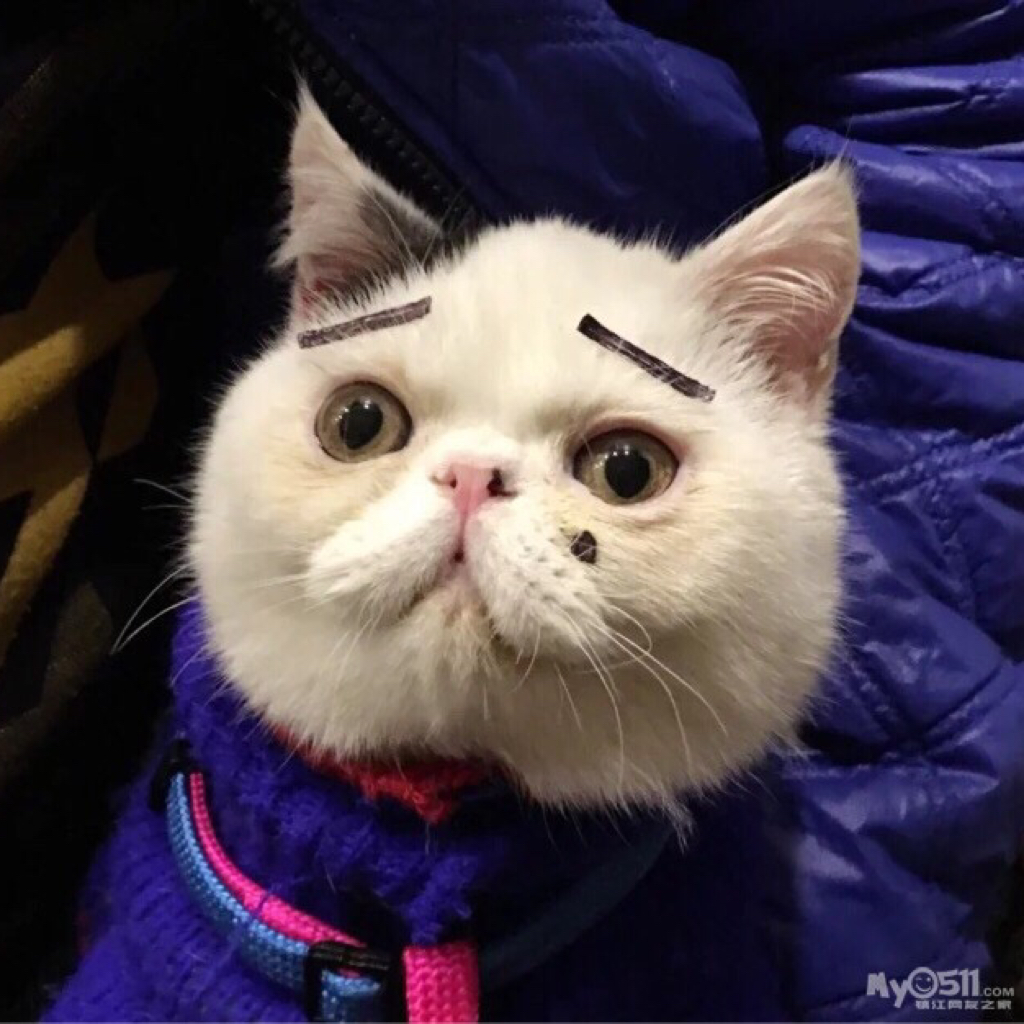 顶级处理器 快充,这三部手机可以再用三年!