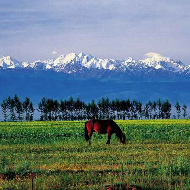 塞外江南指的是什么牧区 b5aa76d2j00q6x7sd0018c200hs00hsm00690069.jpg