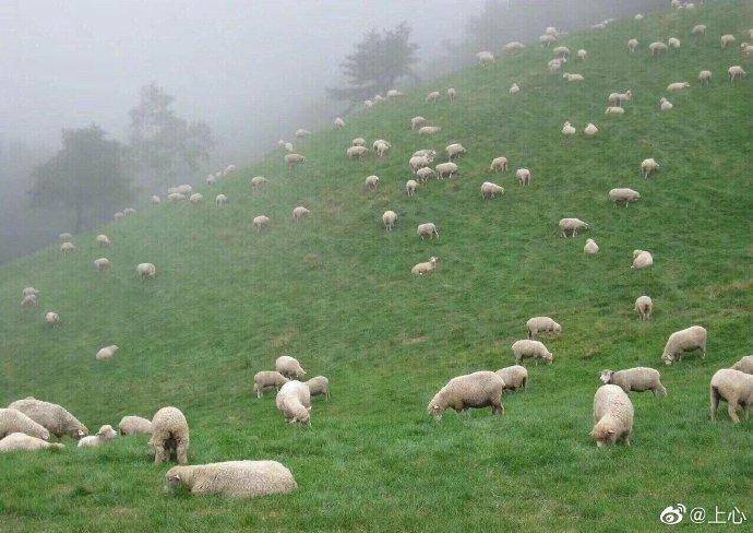 轻松一刻：高考时被别人撕掉答题卡，你会怎么办？