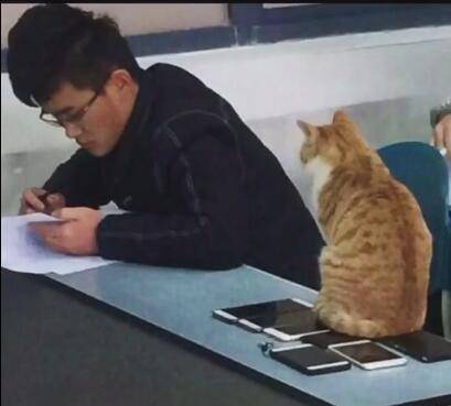 轻松一刻：高考时被别人撕掉答题卡，你会怎么办？