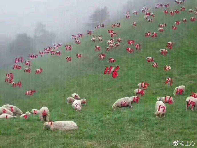 轻松一刻：高考时被别人撕掉答题卡，你会怎么办？