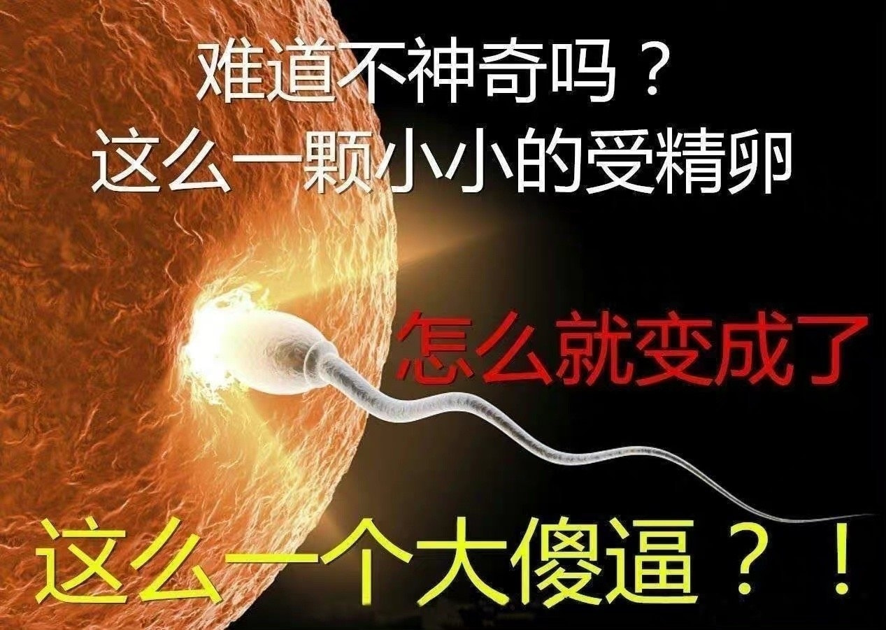 轻松一刻：听说上班族和土豪都是命中注定