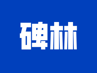 碑林区2025年义务教育学校学区划分