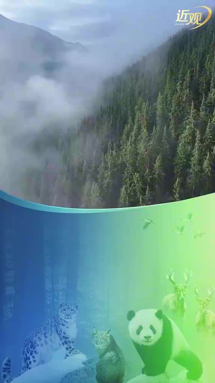 天天学习｜以自然之道 养万物之生